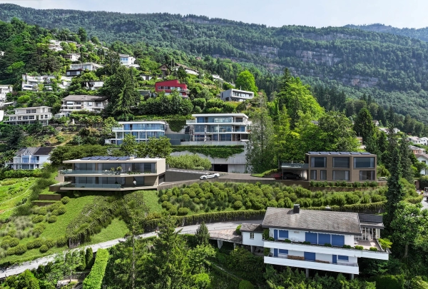 Neubau 2 EFH Weggis